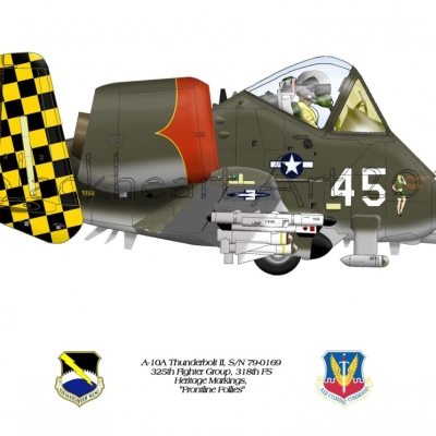 A-10A Thunderbolt II "Frontline Follies" Heritage Scheme
