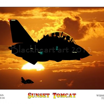 Sunset Tomcat, Special print Large Sizes available