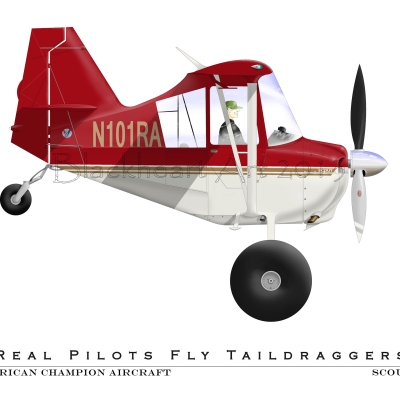 American Champion Aircraft Scout