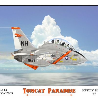 "Tomcat Paradise"
