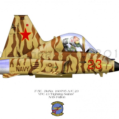 F-5E VFC-13 Saints