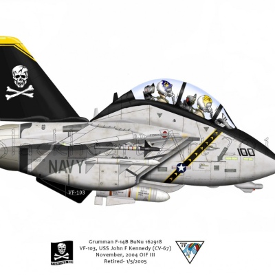 VF-103 Jolly Rogers Co Bird