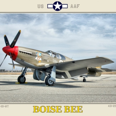 P-51C Boise Bee