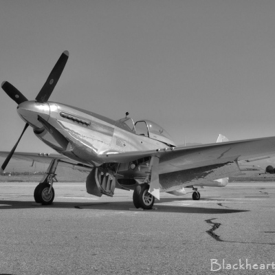 P-51D "Classic Lines"