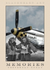 P-51D Mustang "Memories"