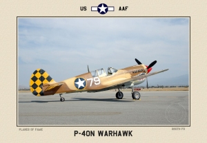 P40 N  Warhawk