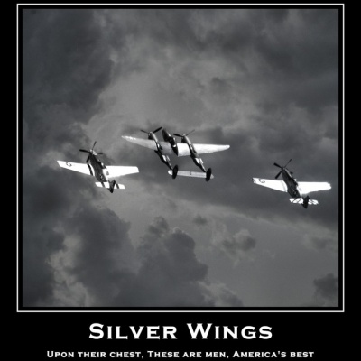 "Silver Wings"